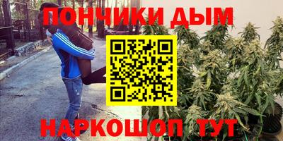 mdpv Обнинск