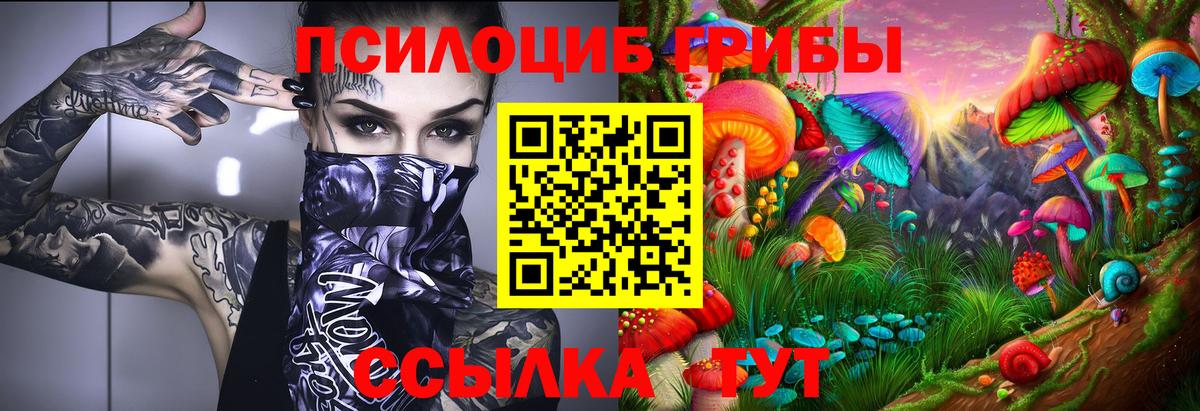 Псилоцибиновые грибы Psilocybine cubensis Сергиев Посад